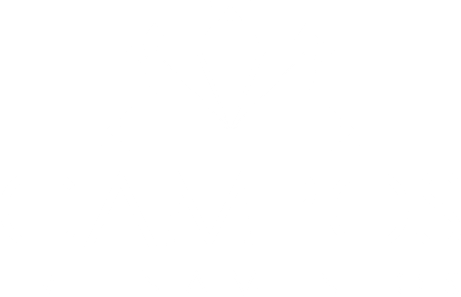 Logo da Campos Treinamentos